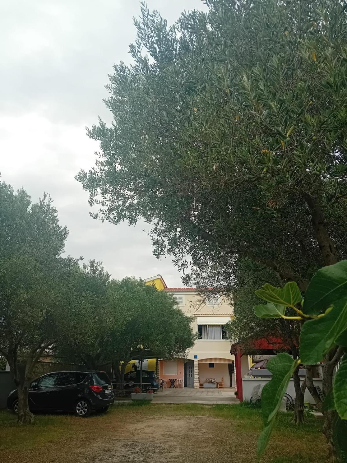 Apartmani A&N Bibinje Exterior foto